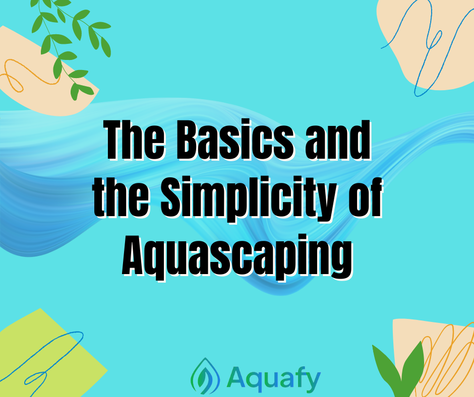 The Basics and the Simplicity of Aquascaping