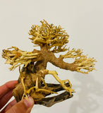 Small Aquascaping Handmade Aquatic Bonsai Driftwood Tree