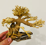 Small Aquascaping Handmade Aquatic Bonsai Driftwood Tree