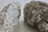 Seiryu Stone