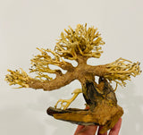 Small Aquascaping Handmade Aquatic Bonsai Driftwood Tree
