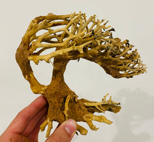 Aquarium Bonsai Driftwood