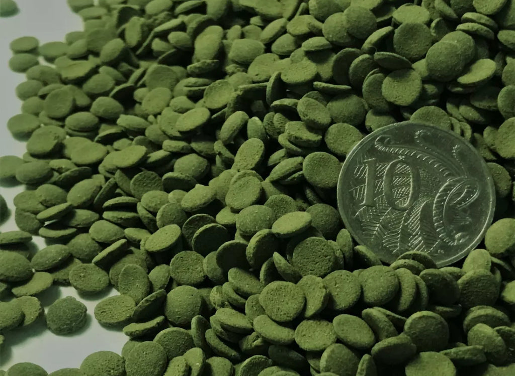 Micro Spirulina Algae Wafers