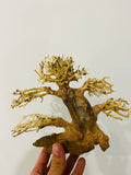 Aquarium Bonsai Driftwood