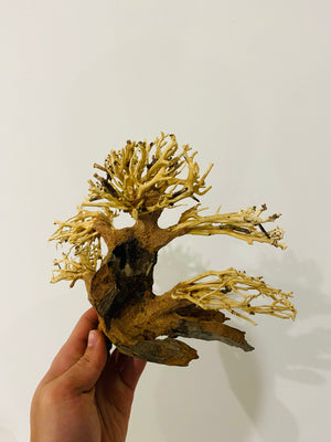Aquarium Bonsai Driftwood