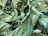 Dry Mulberry leaves For Shrimp/Snails