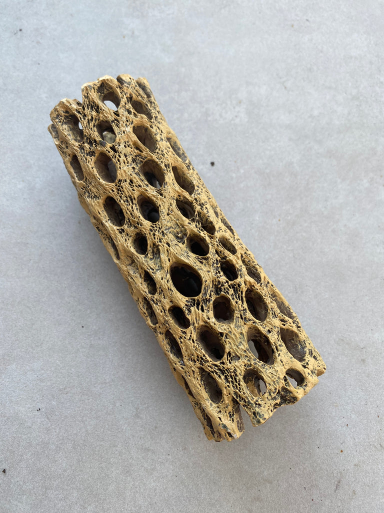15cm Ceramic Cholla Cave