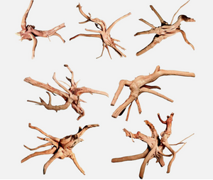 Spider Wood aquarium Driftwood