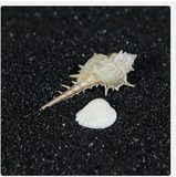 4.5 kg Black Diamond Sand