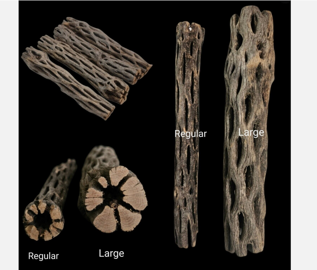 Cholla Wood for shrimp