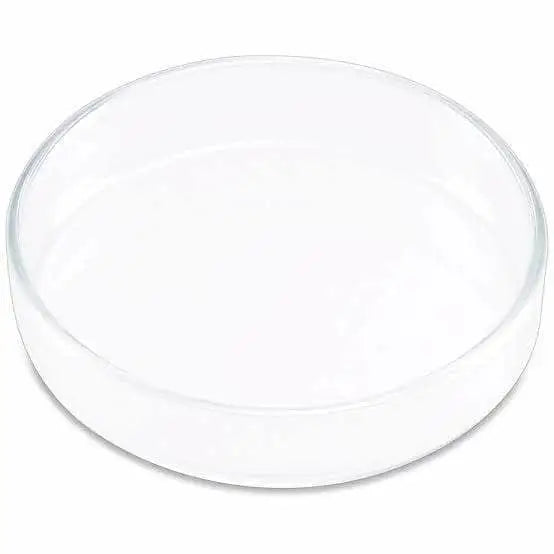 Shrimp Feeding Dish