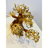 Aquascaping Aquatic Bonsai Driftwood Tree