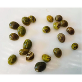 Nerite Snails For Sale