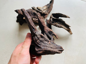 aquarium bonsai driftwood