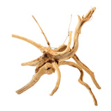 Spider Wood Driftwood