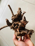 Malaysian Driftwood fish tank