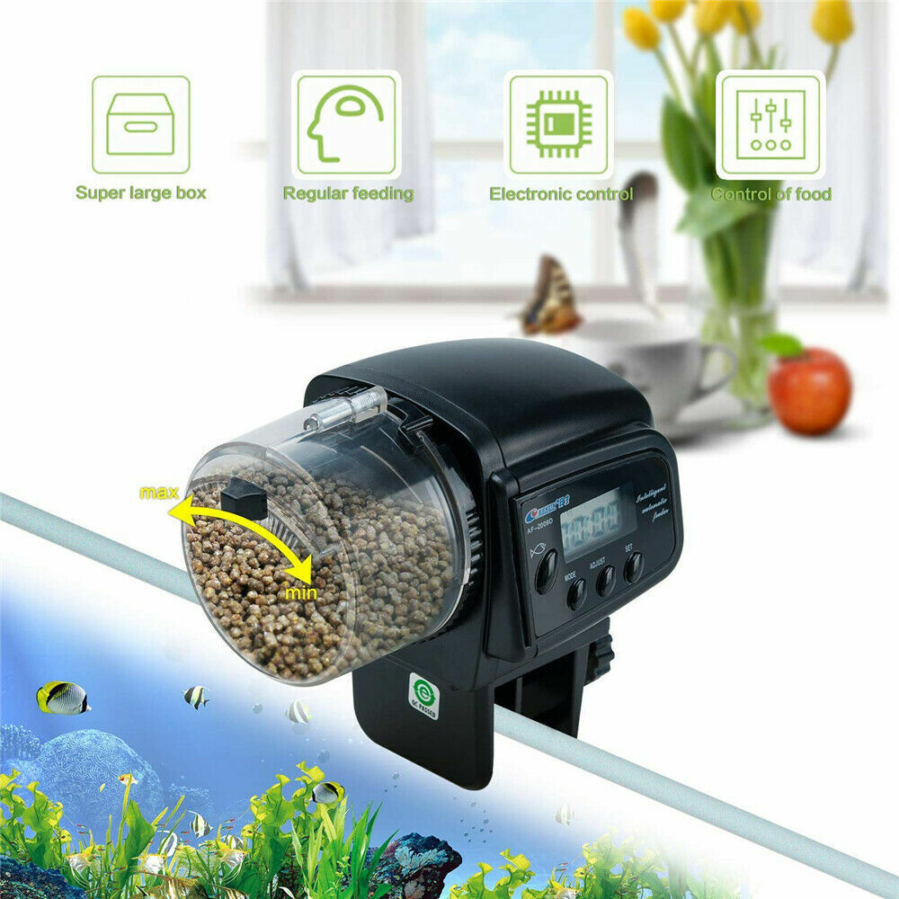 Battery Operated Auto Fish Feeder sale