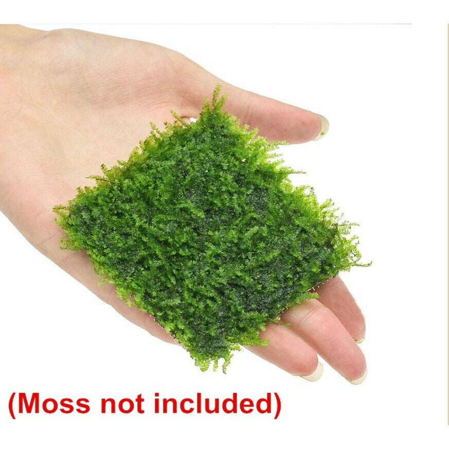 Aquarium Stainless Steel Wire Mesh Pad for sale