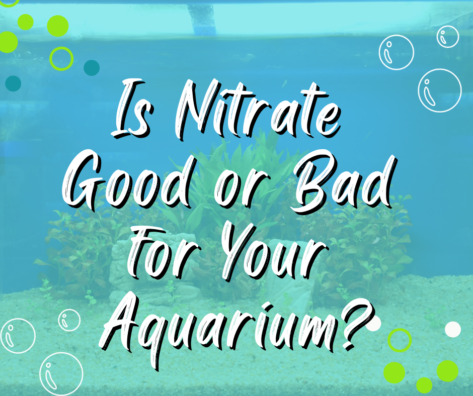 Is Nitrate Good or Bad For Your Aquarium?