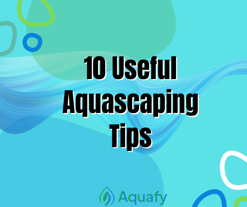 10 Useful Aquascaping Tips