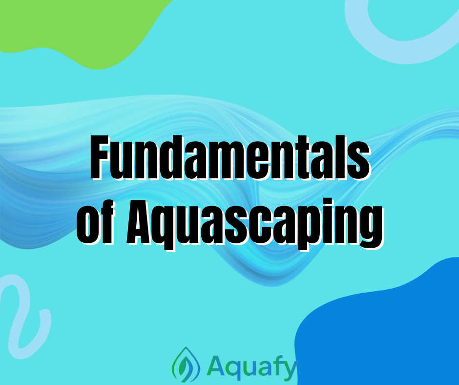 Fundamentals of Aquascaping