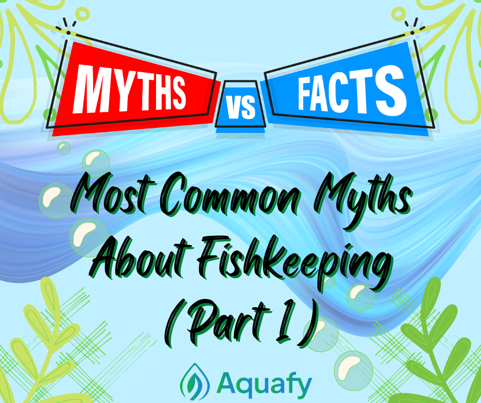 Most Common Myths About Fishkeeping (Part 1)