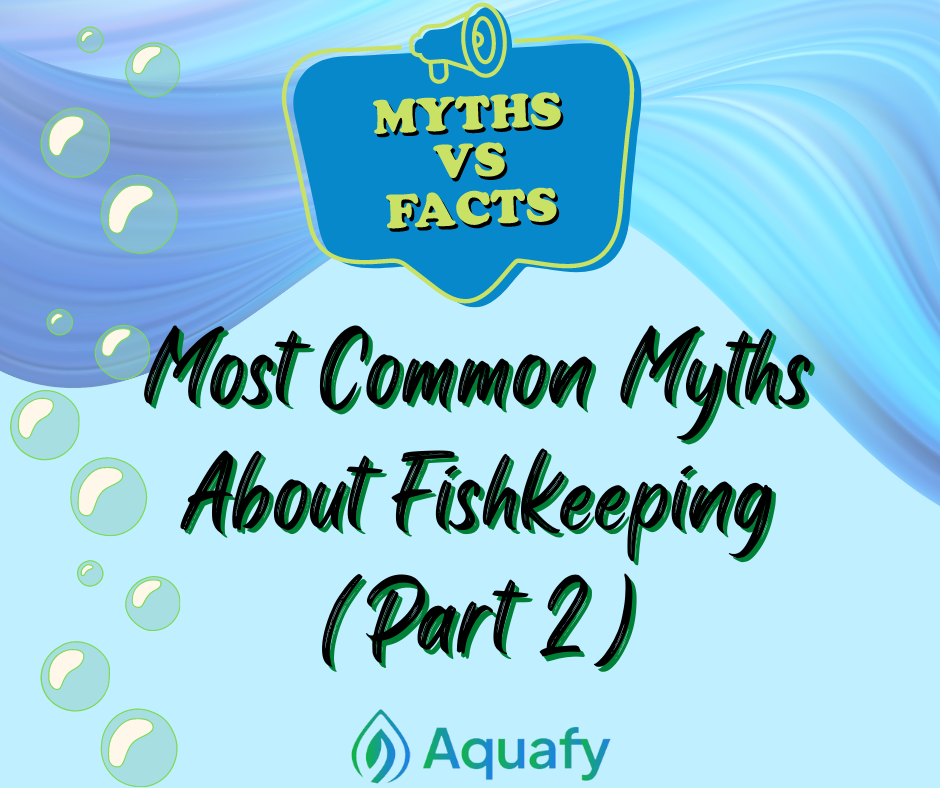 Most Common Myths About Fishkeeping (Part 2)