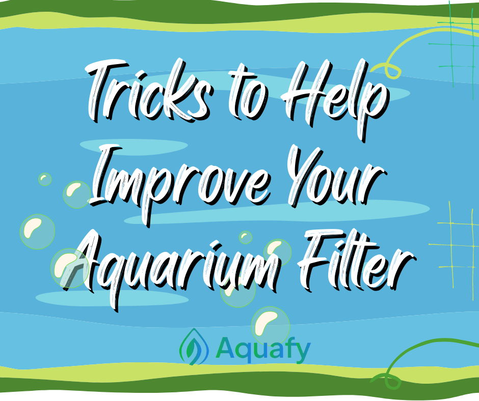 Tricks to Help Improve Your Aquarium Filter