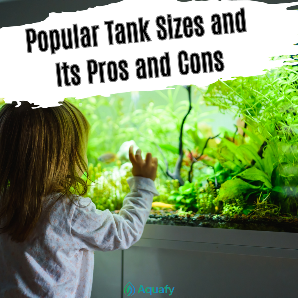 Popular Tank Sizes and Its Pros and Cons