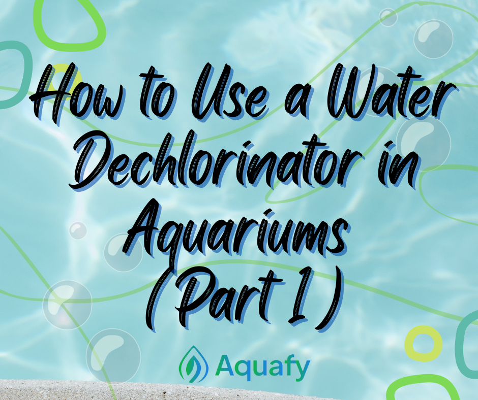 How to Use a Water Dechlorinator in Aquariums (Part 1)