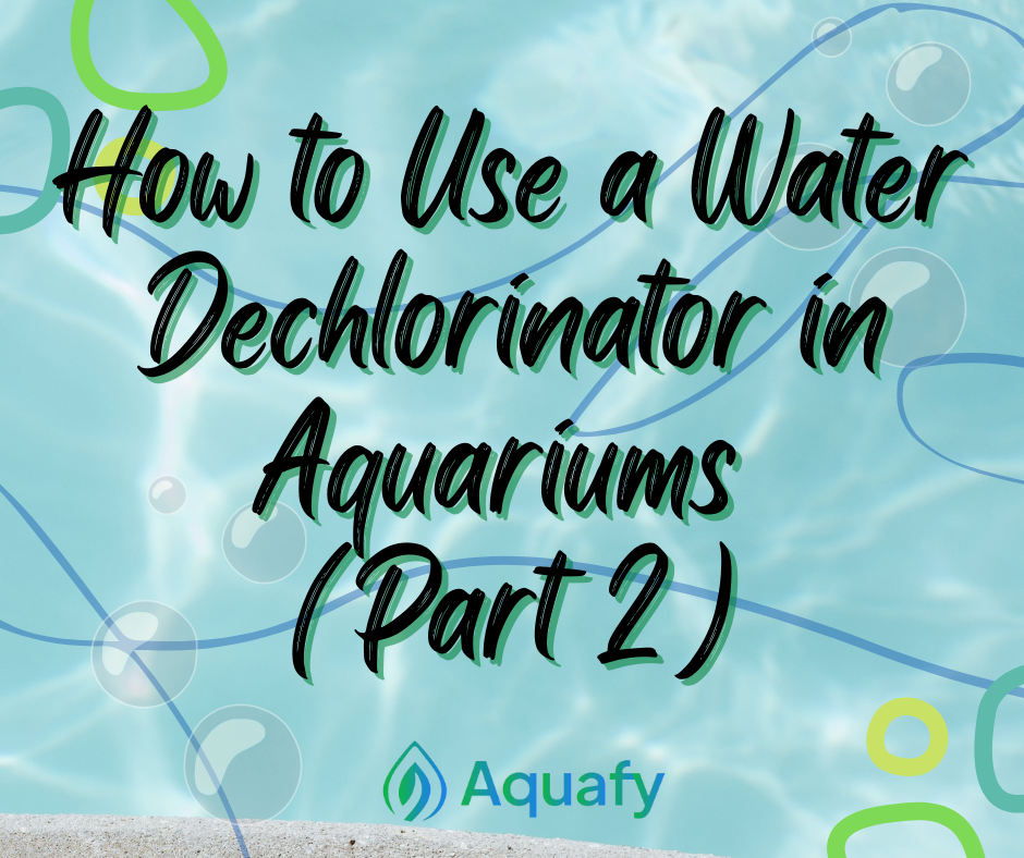 How to Use a Water Dechlorinator in Aquariums (Part 2)