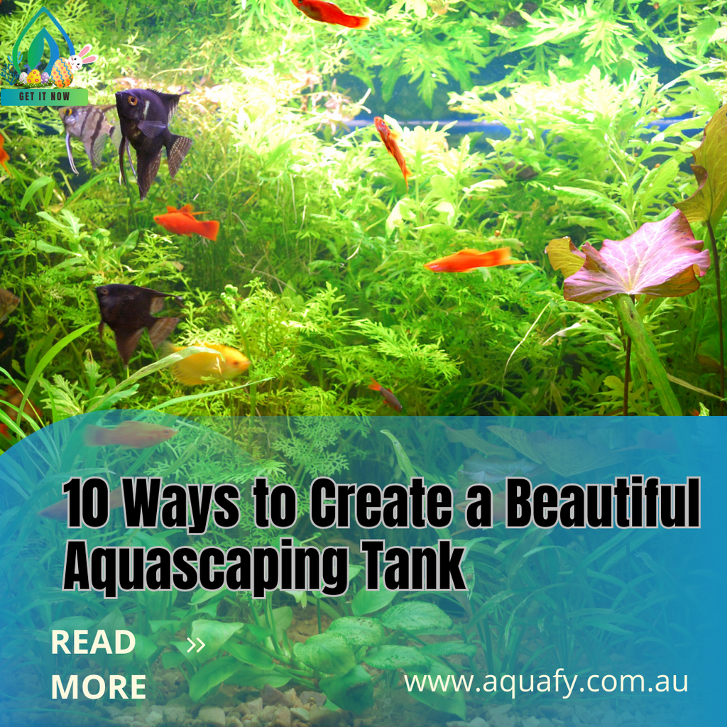 10 Ways to Create a Beautiful Aquascaping Tank