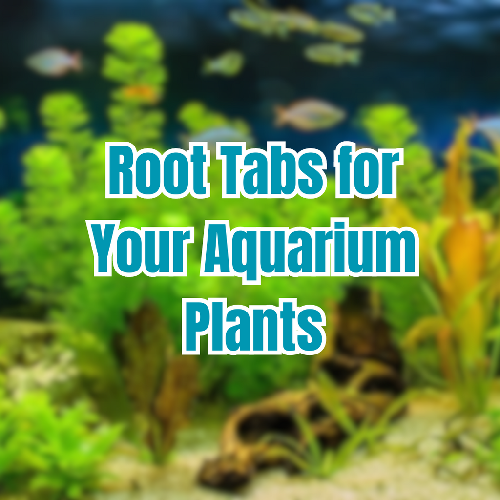 Root Tabs for Your Aquarium Plants