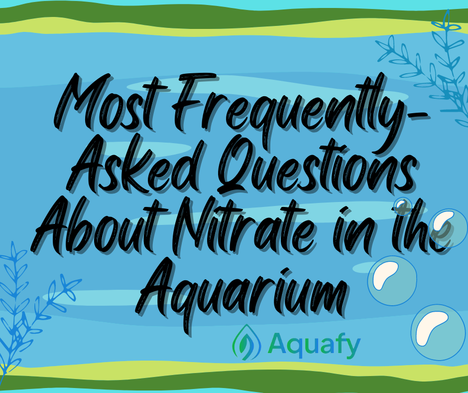 Most Frequently-Asked Questions About Nitrate in the Aquarium