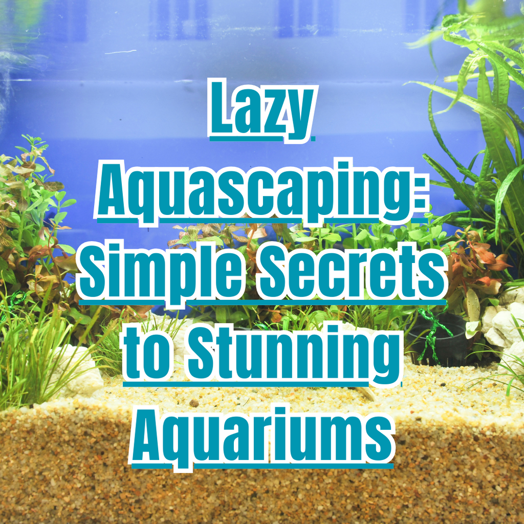 Lazy Aquascaping: Simple Secrets to Stunning Aquariums