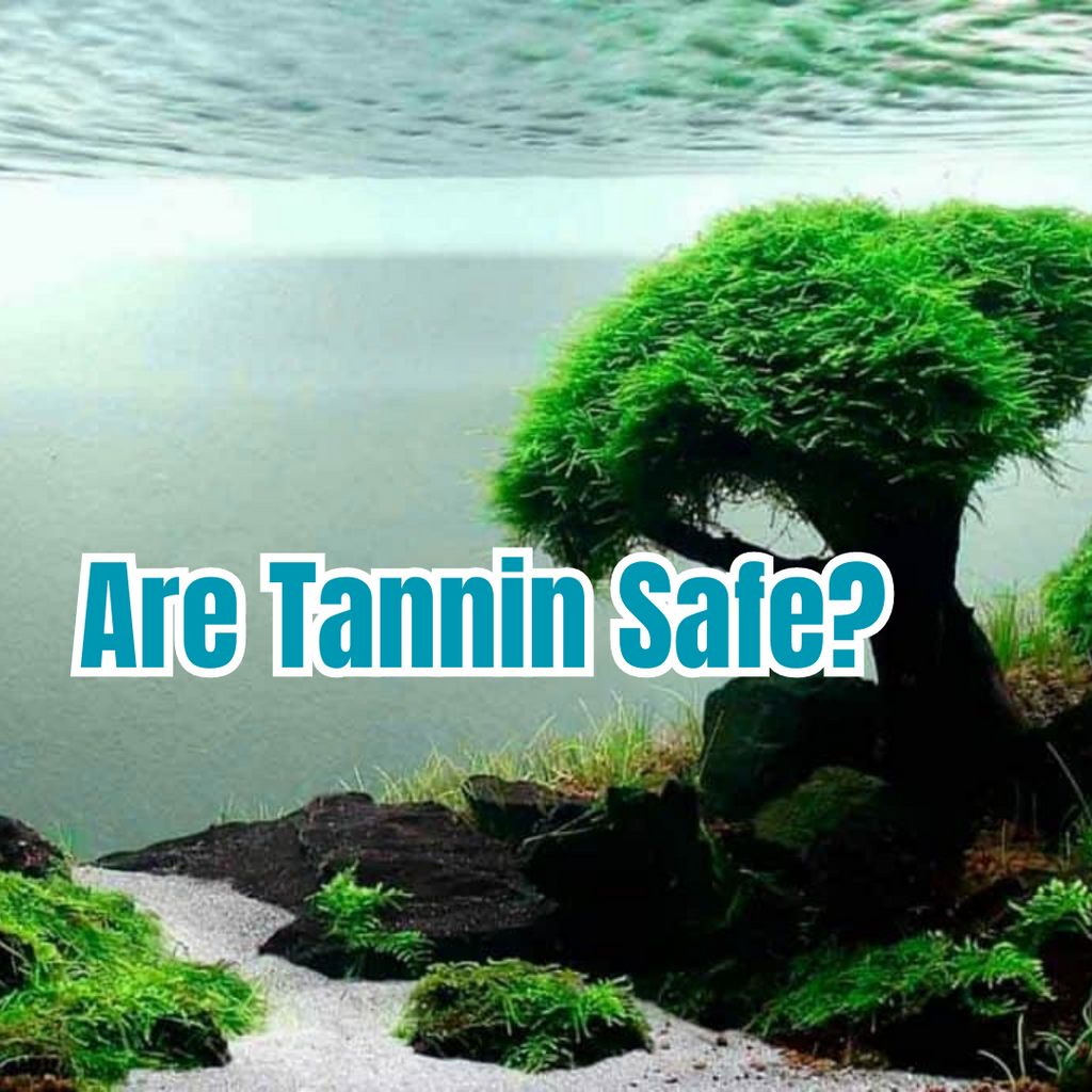 Are Tannin Safe?