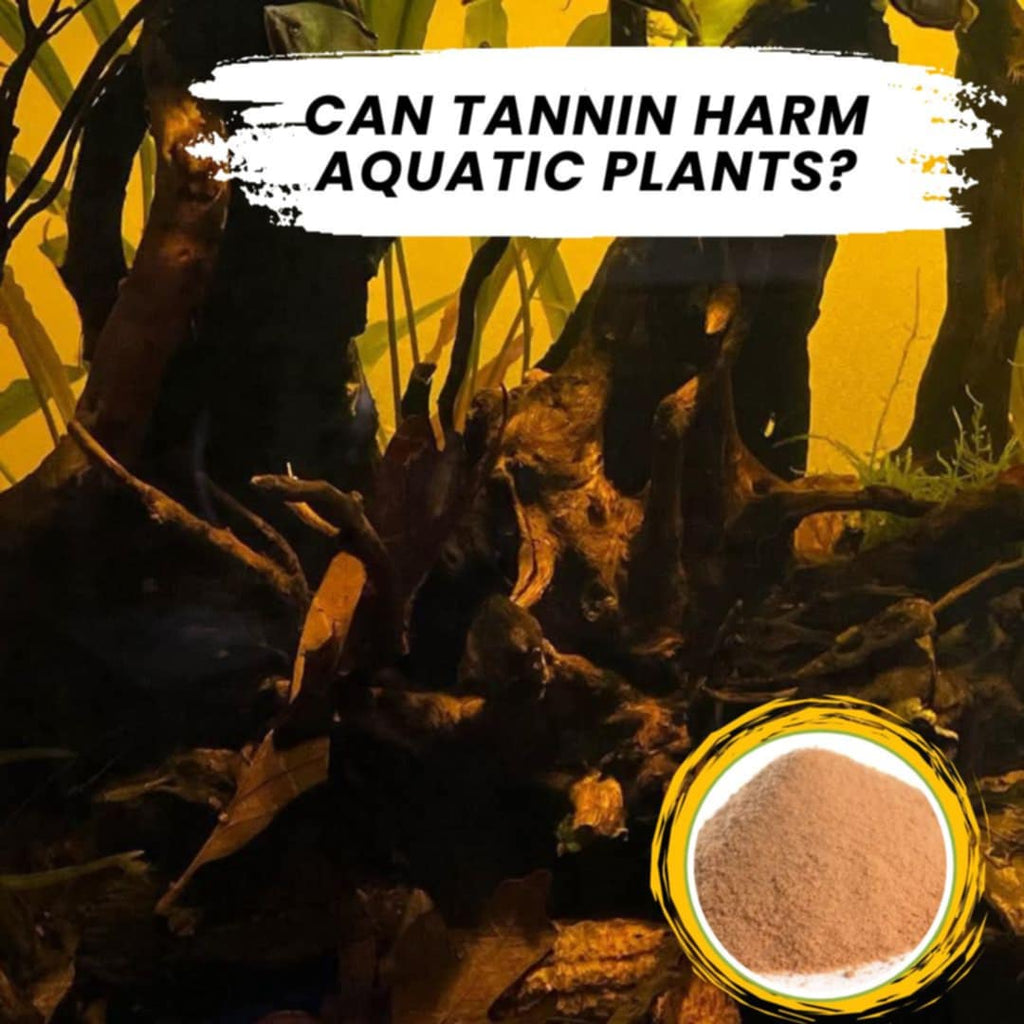 Can Tannin Harm Aquatic Plants?