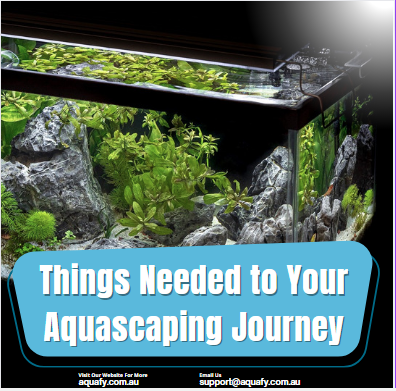 Things Needed to Your Aquascaping Journey