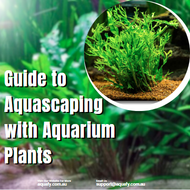 Guide to Aquascaping with Aquarium Plants