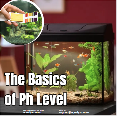 The Basic of Ph Level