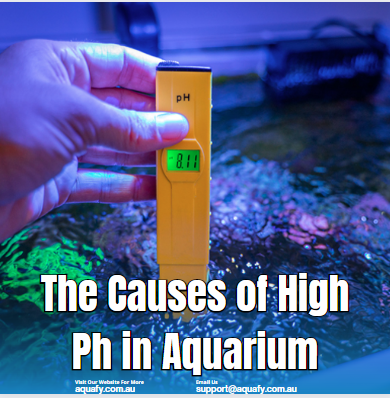 The Causes of High Ph in Aquarium