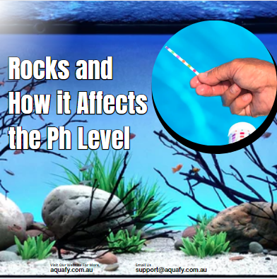 Rocks and How it Affects the Ph Level