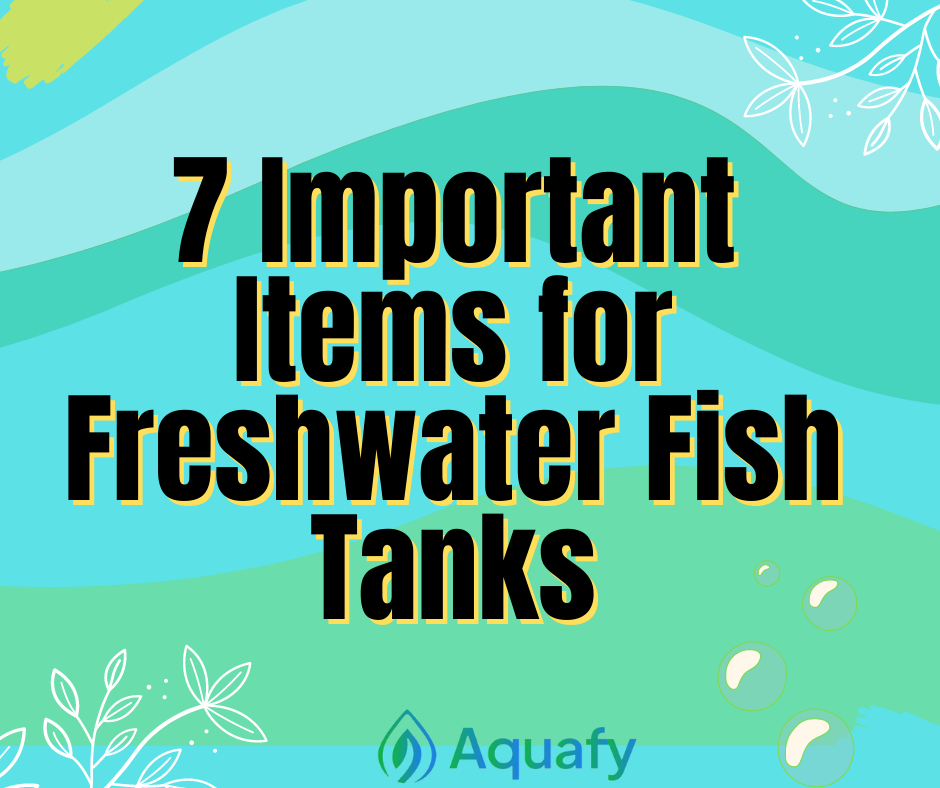 7 Important Items for Freshwater Fish Tanks