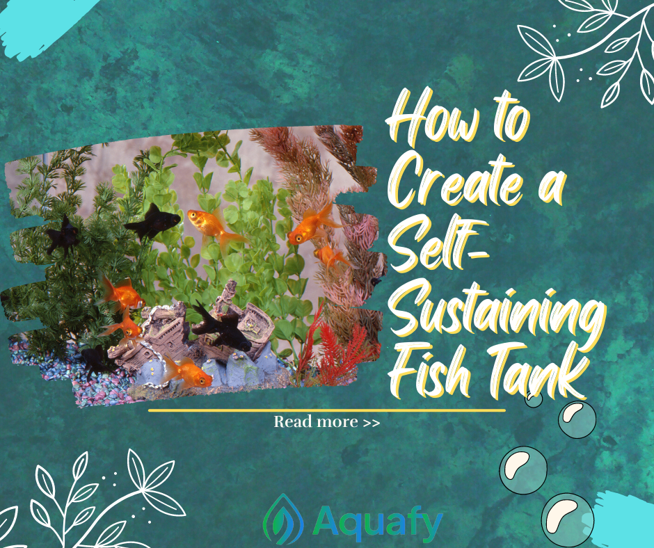 How to Create a Self-Sustaining Fish Tank