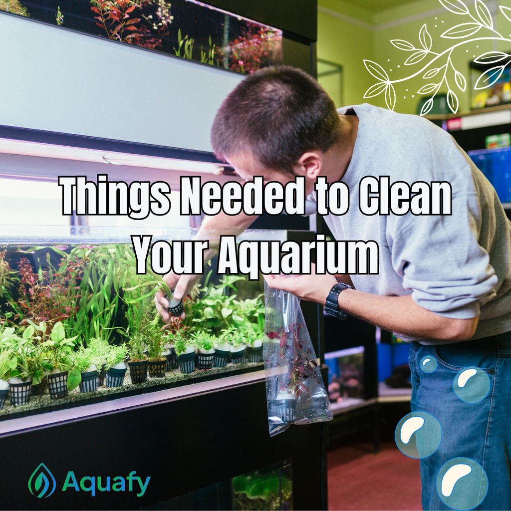 Things Needed to Clean Your Aquarium