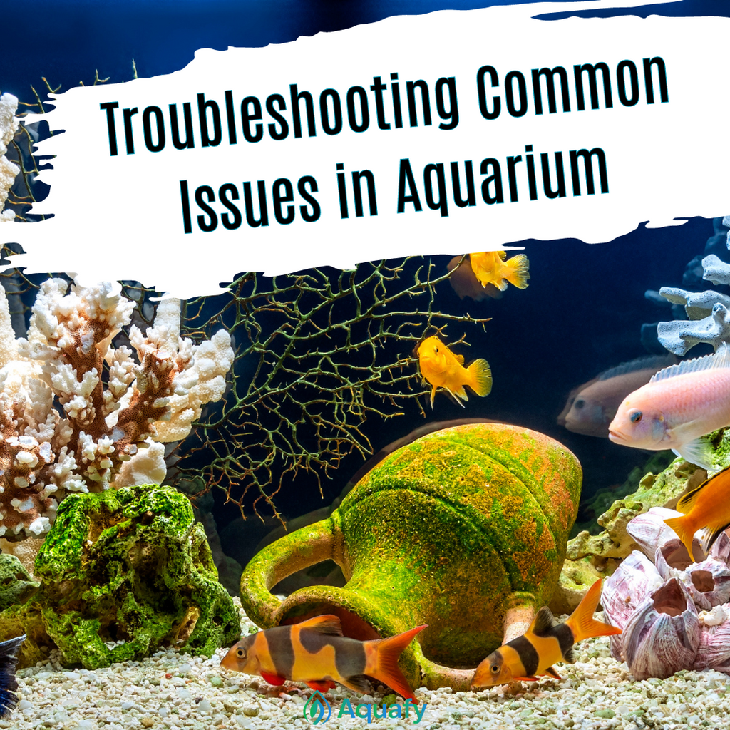 Troubleshooting Common Issues in Aquariums