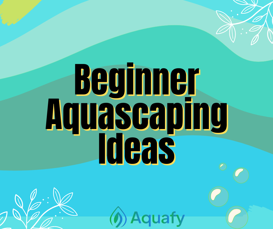 Beginner Aquascaping Ideas