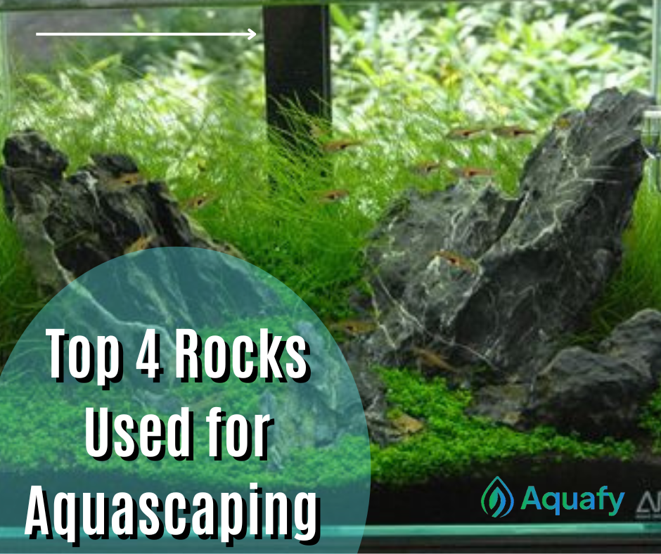 Top 4 Rocks Used for Aquascaping That Beginner Hobbyists Use