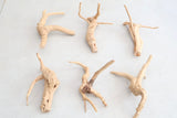 Spider Wood Driftwood
