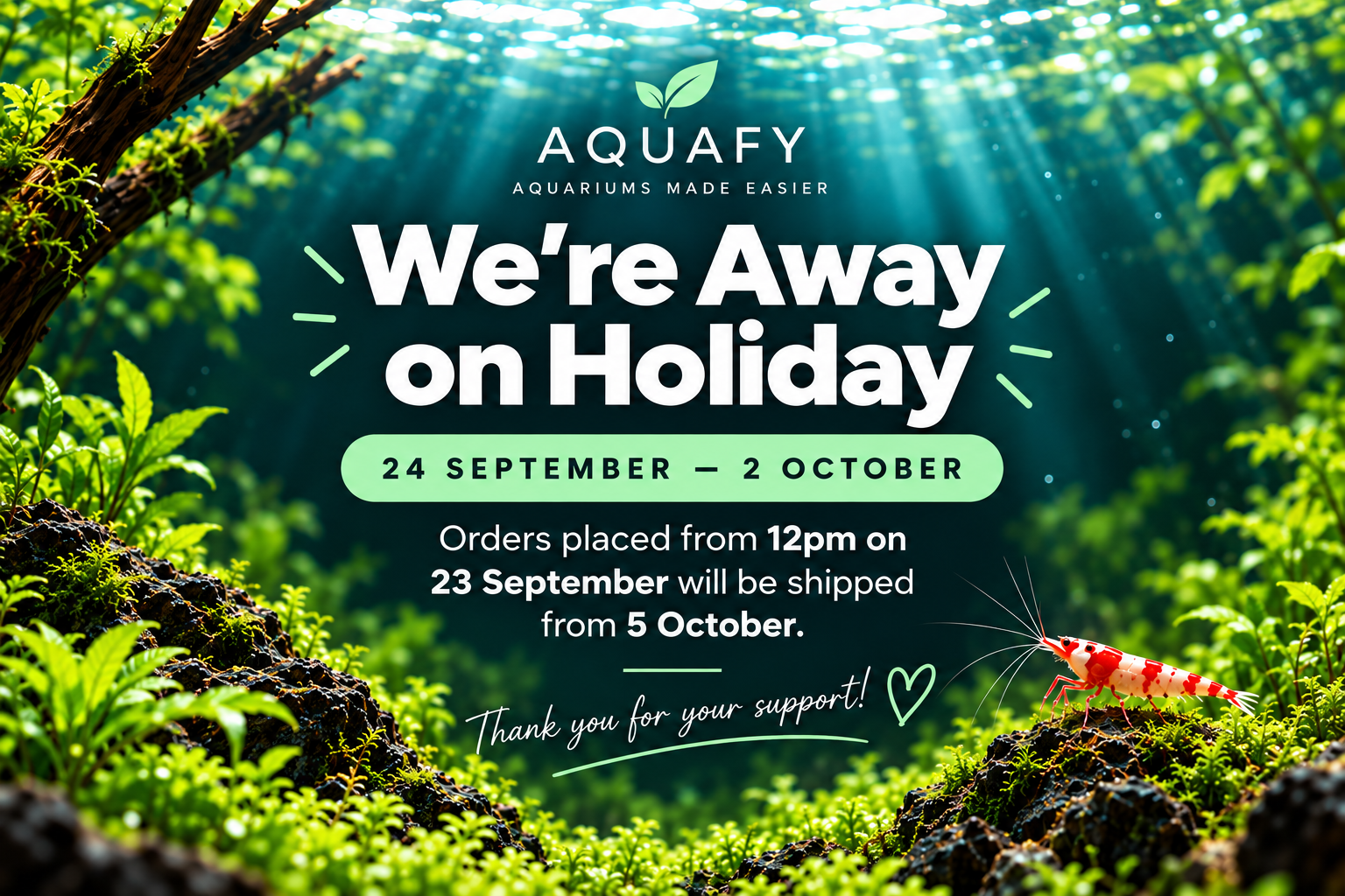 Aquafy Aquatic Shop